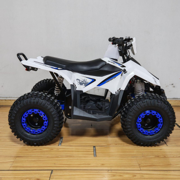 Preview: E-Quad KMG Coobra1200W  48 Volt Eco 7 Zoll Narbenmotor